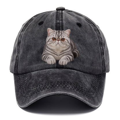Exotic Shorthair Reclining Paws Forward Realistic Cat Portrait Classic Cap – Graphite