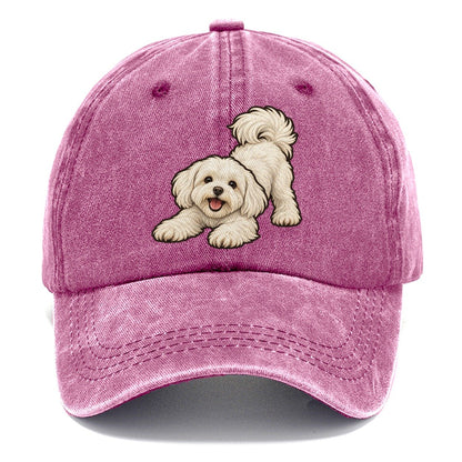 Maltese Play Bow Fan Favorites Classic Cap – Dusty Rose