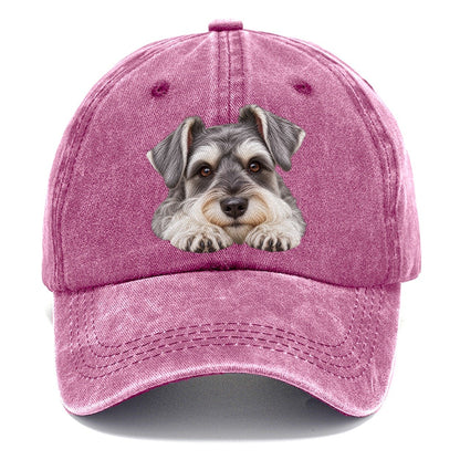 Schnauzer Chin On Paws Character Club Classic Cap – Dusty Rose