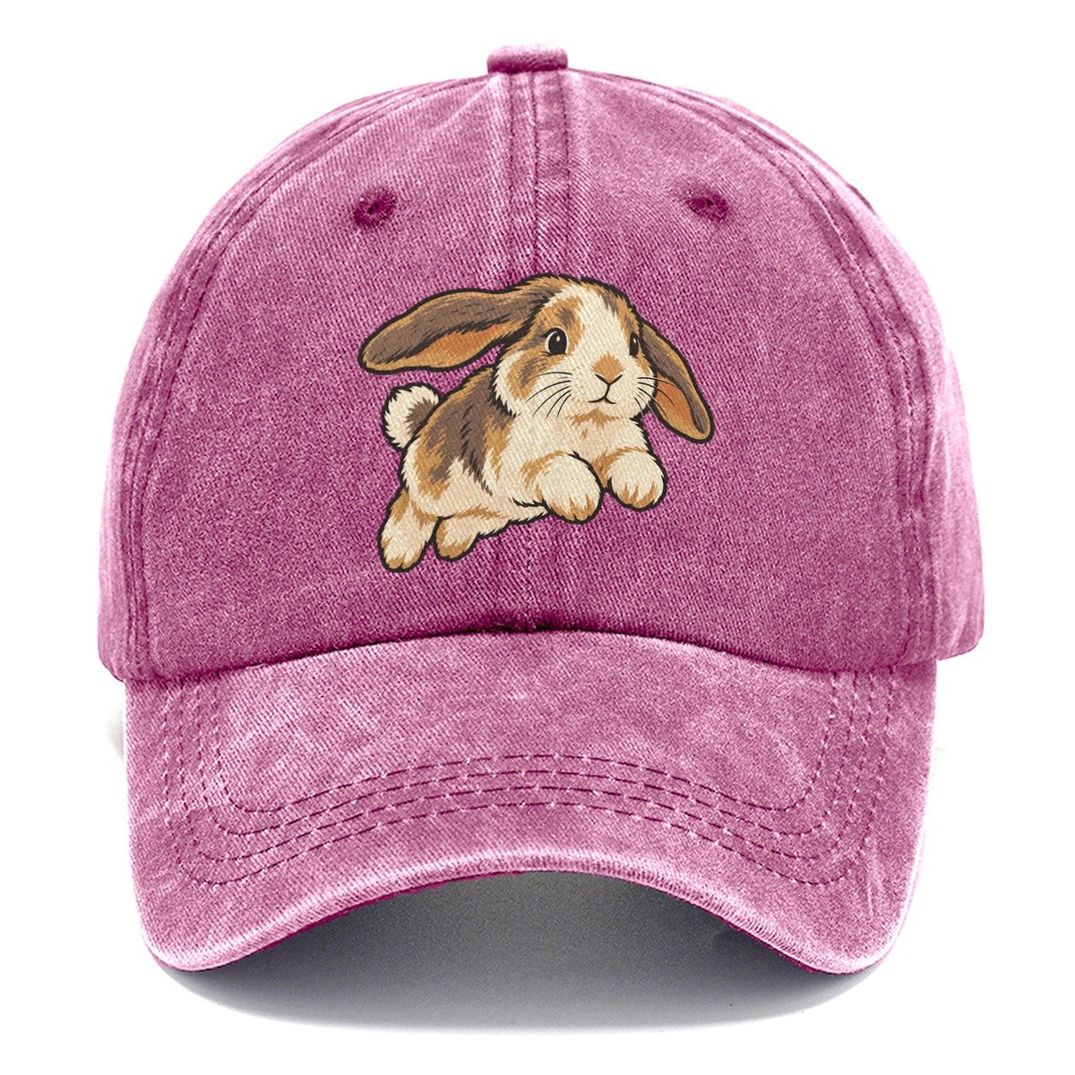 Rabbit Gentle Hop Small Pet Logos Classic Cap – Dusty Rose