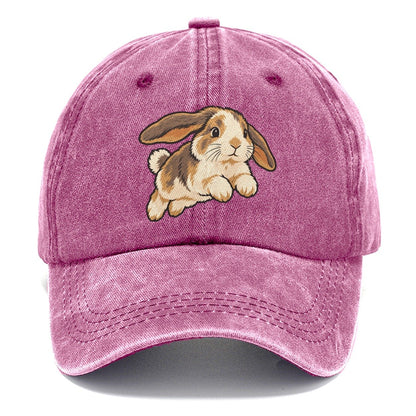 Rabbit Gentle Hop Small Pet Logos Classic Cap – Dusty Rose