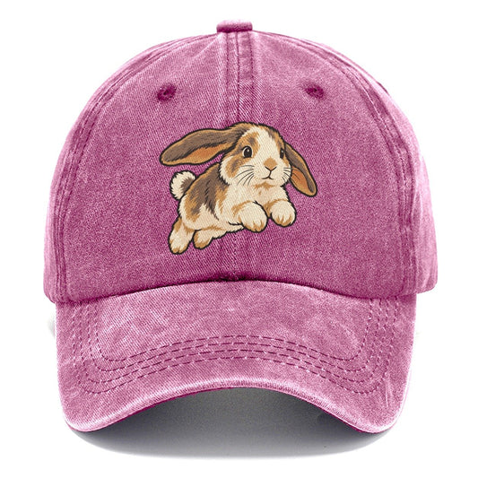 Rabbit Gentle Hop Small Pet Logos Classic Cap – Dusty Rose