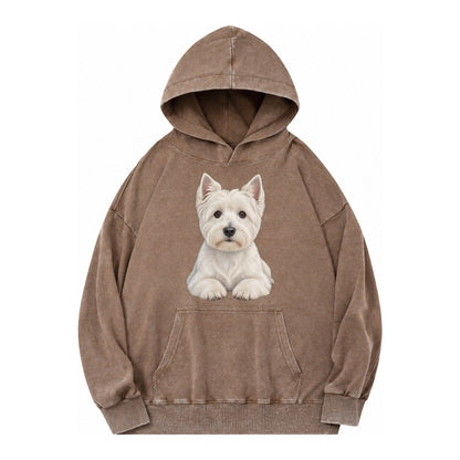 Pickleball Vintage Washed Hoodie – Brown