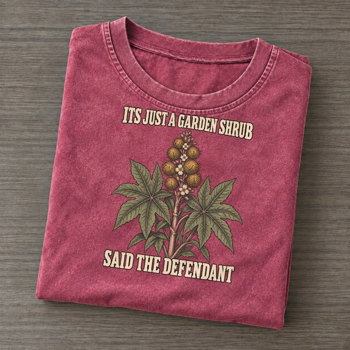 Said The Defendant Botanical Warnings Vintage T-shirt – Raspberry