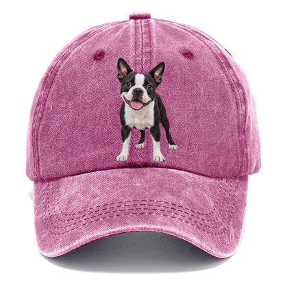Boston Terrier Standing Top Breeds Classic Cap – Dusty Rose