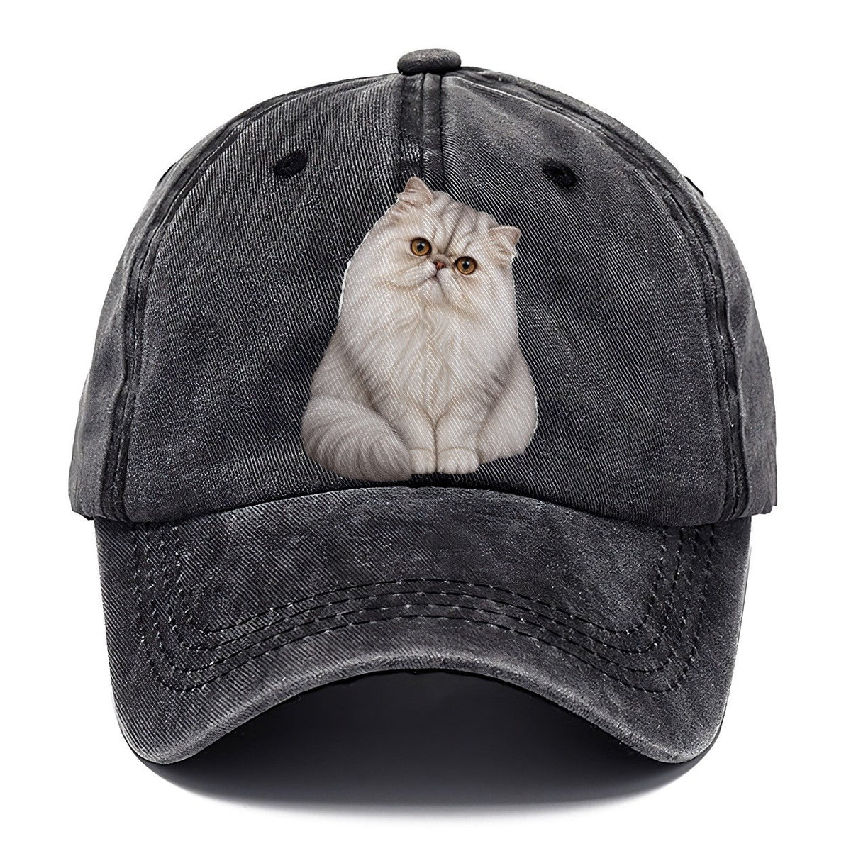 Persian Seated Portrait Realistic Cat Portrait Classic Cap – Graphite