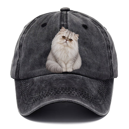 Persian Seated Portrait Realistic Cat Portrait Classic Cap – Graphite