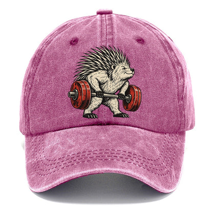 Porcupine Quill Rows Animal Lifters Classic Cap – Dusty Rose