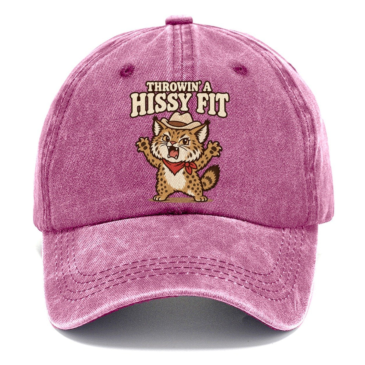 Throwin' A Hissy Fit Well I Declare Classic Cap – Dusty Rose