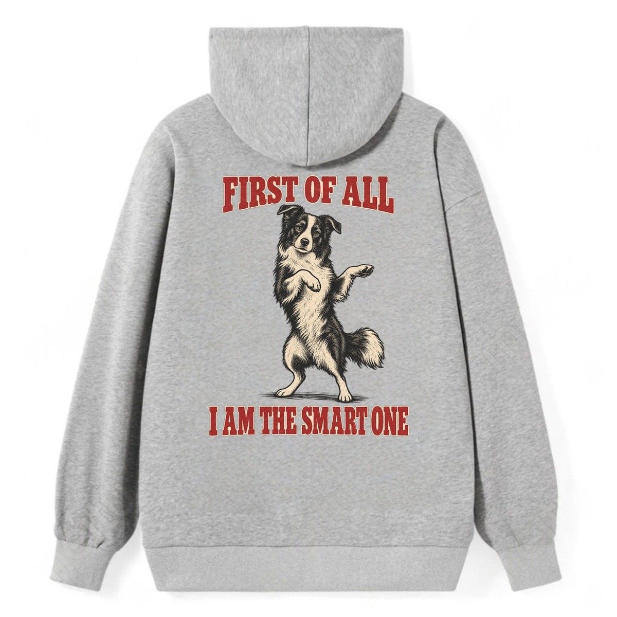 Border Collie Dog Declarations Classic Pullover Hoodie – Grey