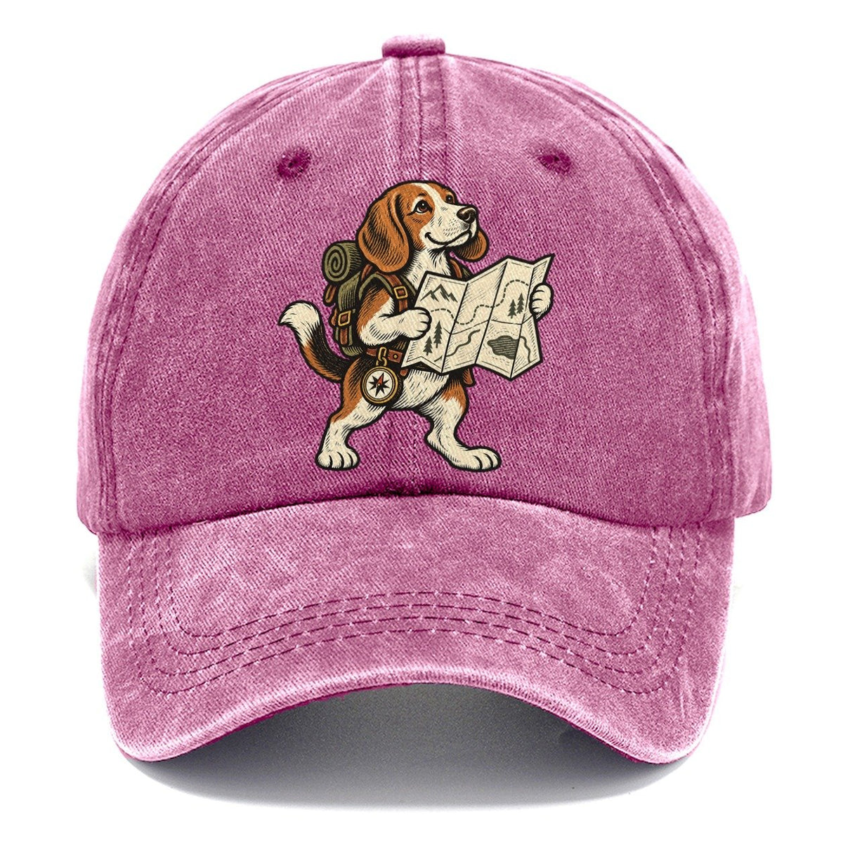 Beagle Trail Cartographer Sundown Familiars Classic Cap – Dusty Rose