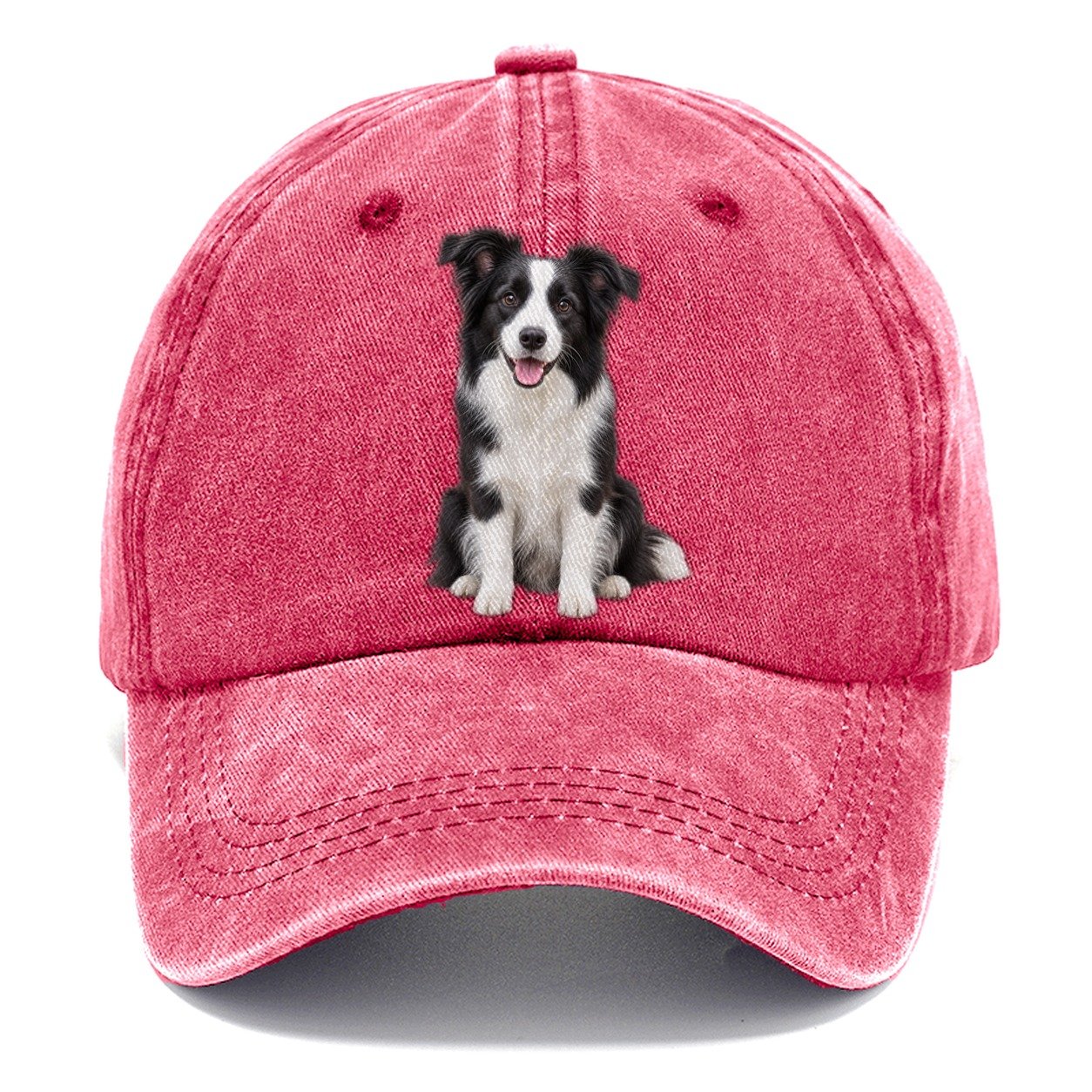 Border Collie Sitting Top Breeds Classic Cap – Pomegranate Blush