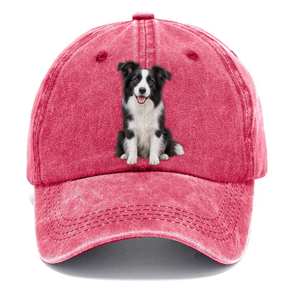 Border Collie Sitting Top Breeds Classic Cap – Pomegranate Blush