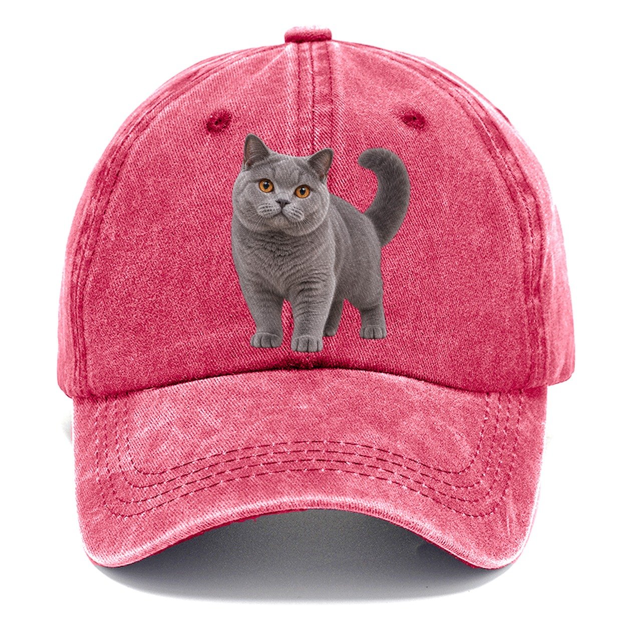 British Shorthair Standing Three Quarter Realistic Cat Portrait Classic Cap – Pomegranate Blush