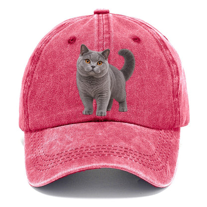 British Shorthair Standing Three Quarter Realistic Cat Portrait Classic Cap – Pomegranate Blush