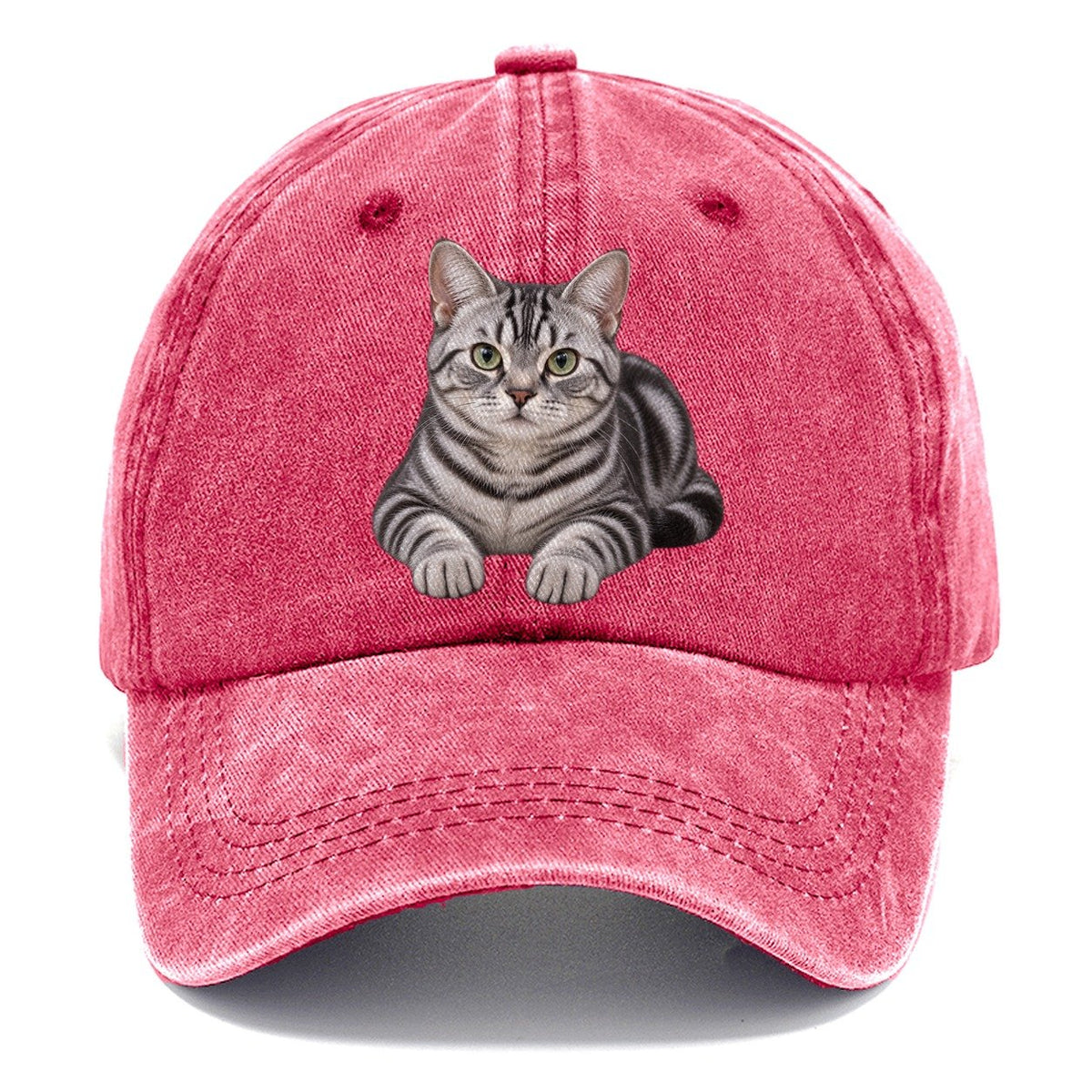 American Shorthair Reclining Paws Forward Realistic Cat Portrait Classic Cap – Pomegranate Blush
