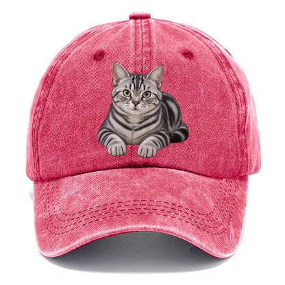 American Shorthair Reclining Paws Forward Realistic Cat Portrait Classic Cap – Pomegranate Blush