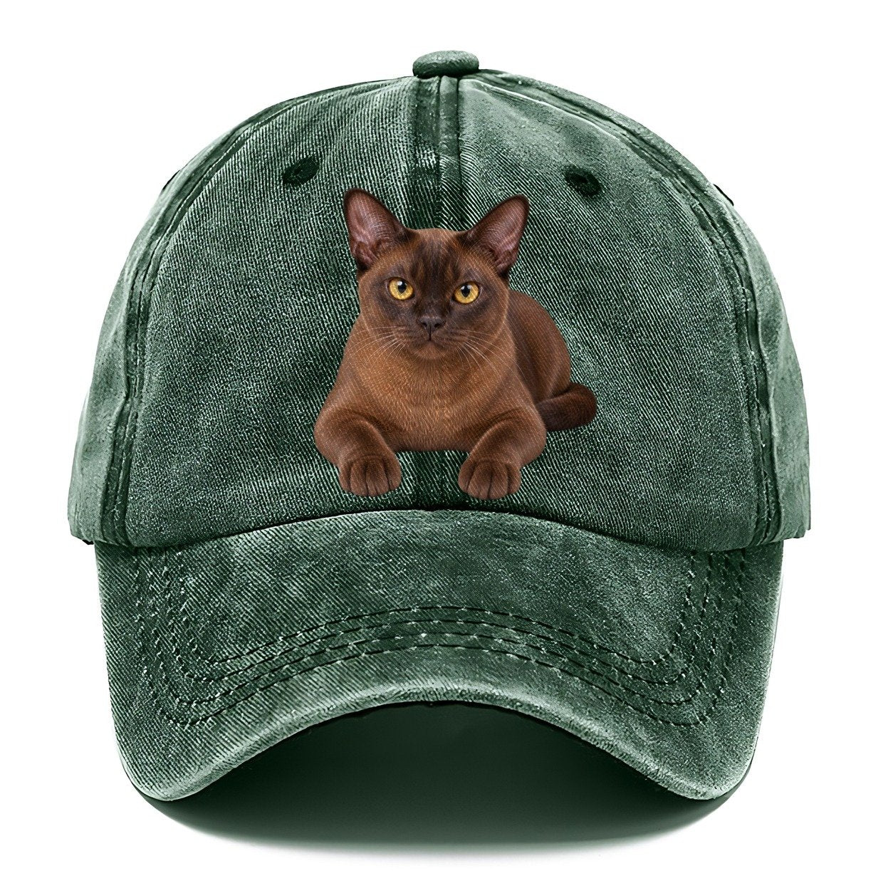 Burmese Reclining Paws Forward Realistic Cat Portrait Classic Cap – Forest Mist