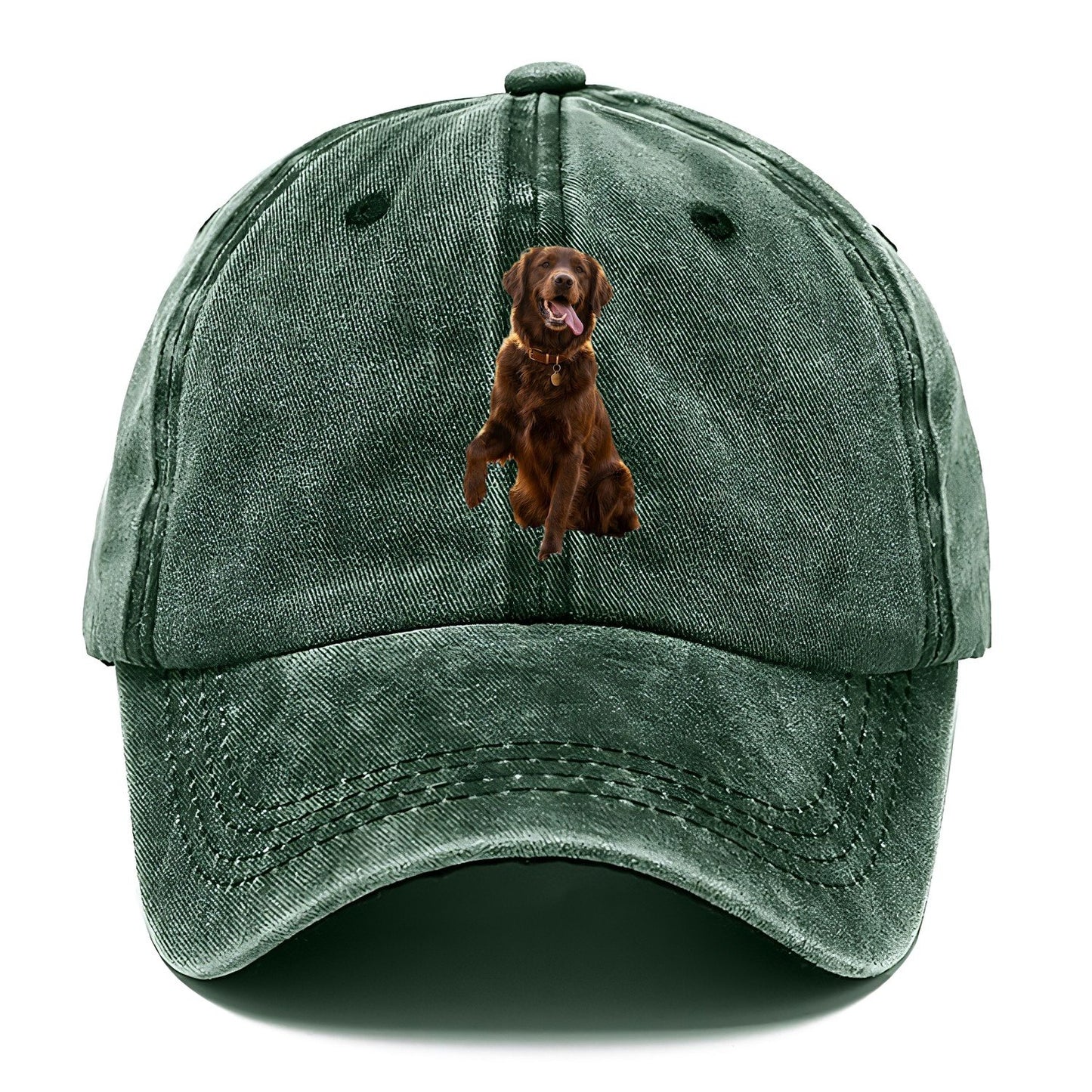 Dark Retriever Classic Cap – Forest Mist