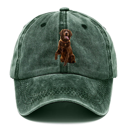 Dark Retriever Classic Cap – Forest Mist