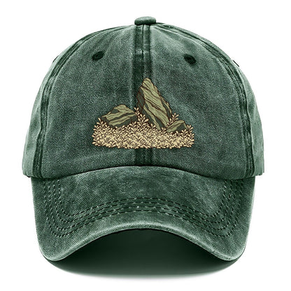 Stone And Carpet Aquascape Aquarium Keeping Classic Cap – Forest Mist
