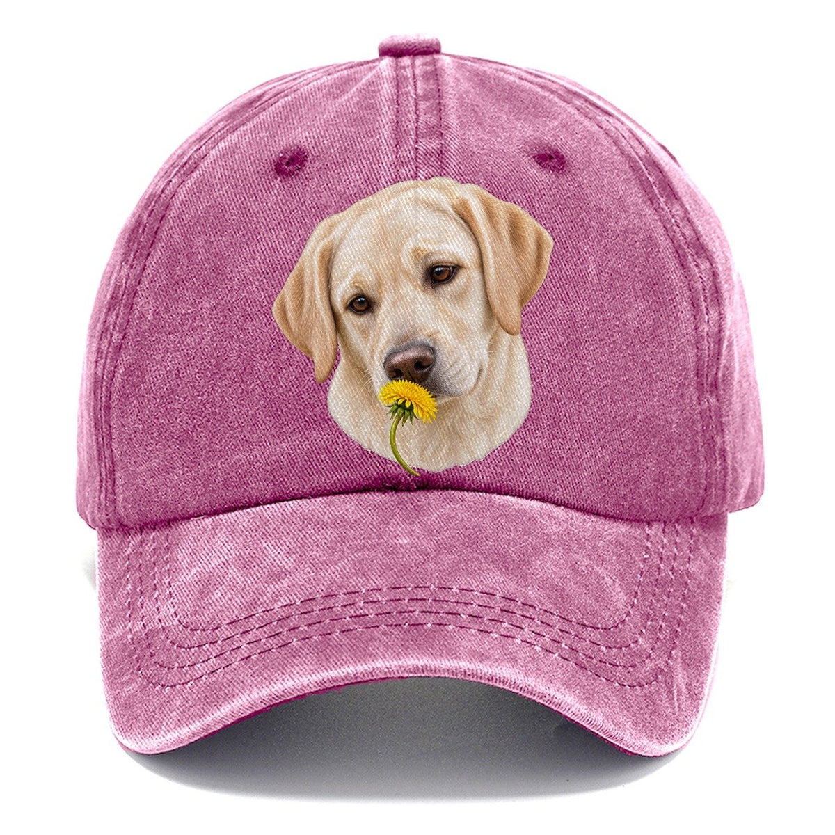 Cream Labrador Dandelion Pause Pastimes Companions Classic Cap – Dusty Rose