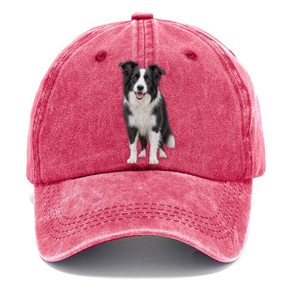 Border Collie Standing Top Breeds Classic Cap – Pomegranate Blush