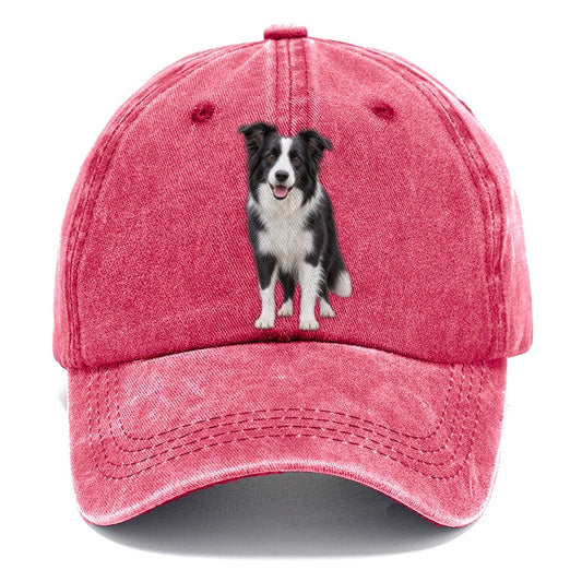 Border Collie Standing Top Breeds Classic Cap – Pomegranate Blush