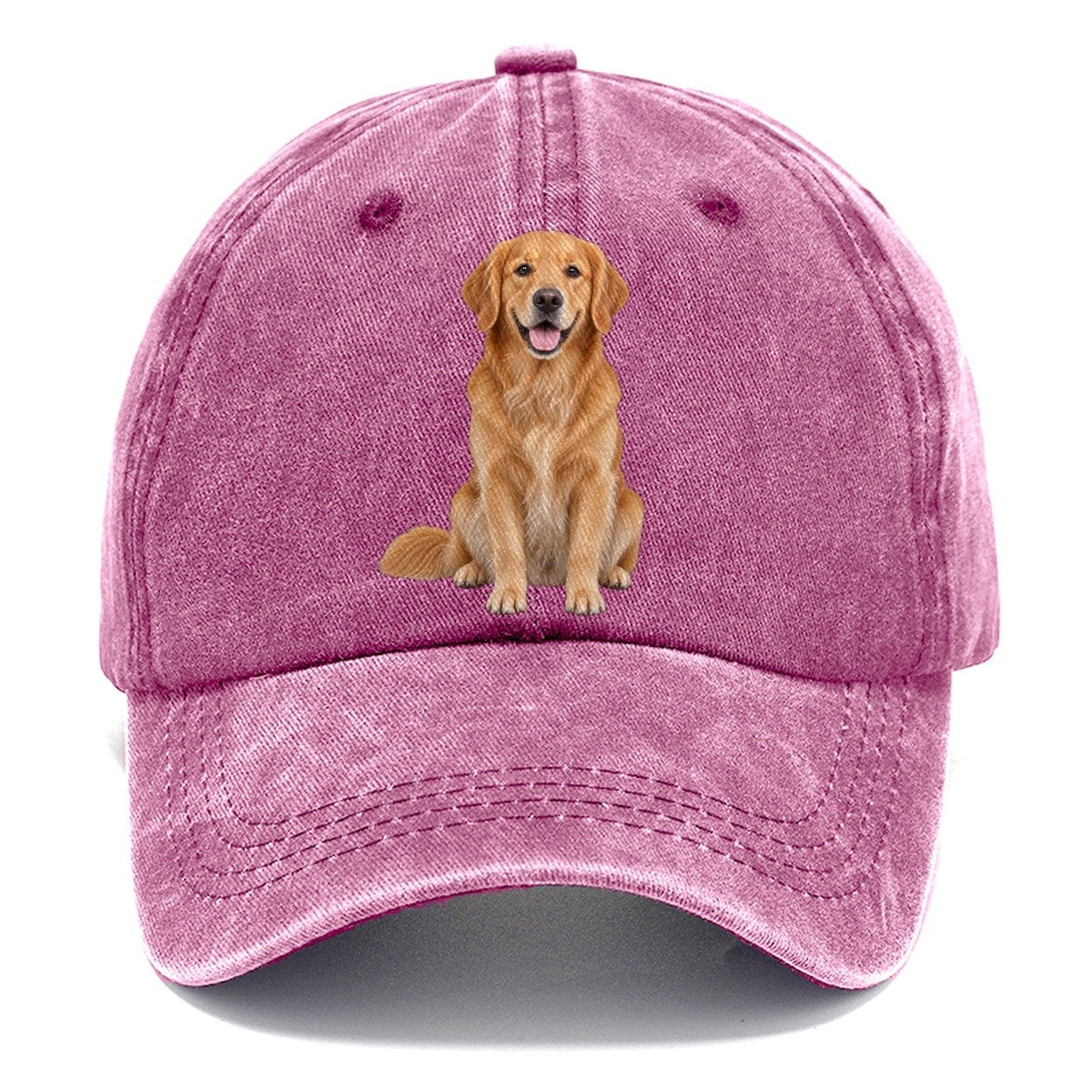 Golden Retriever Sitting Upright Top Breeds Classic Cap – Dusty Rose