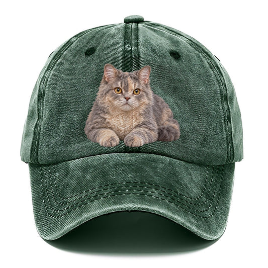 Selkirk Rex Reclining Paws Forward Realistic Cat Portrait Classic Cap – Forest Mist