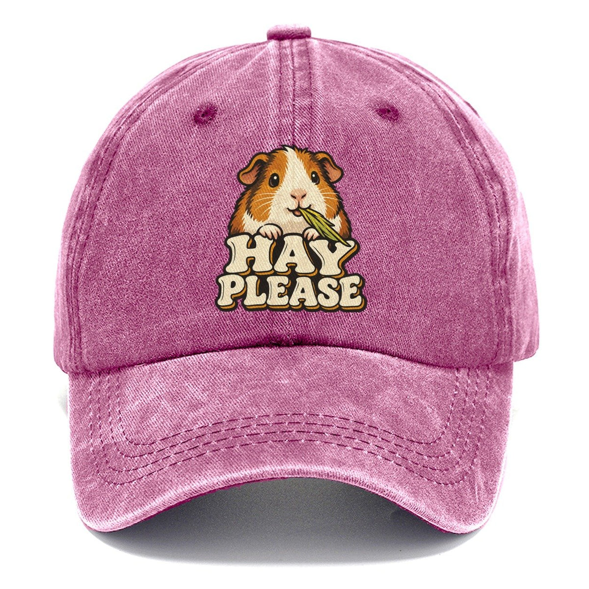 Hay Please Small Pet Logos Classic Cap – Dusty Rose