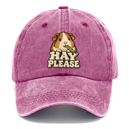 Hay Please Small Pet Logos Classic Cap – Dusty Rose