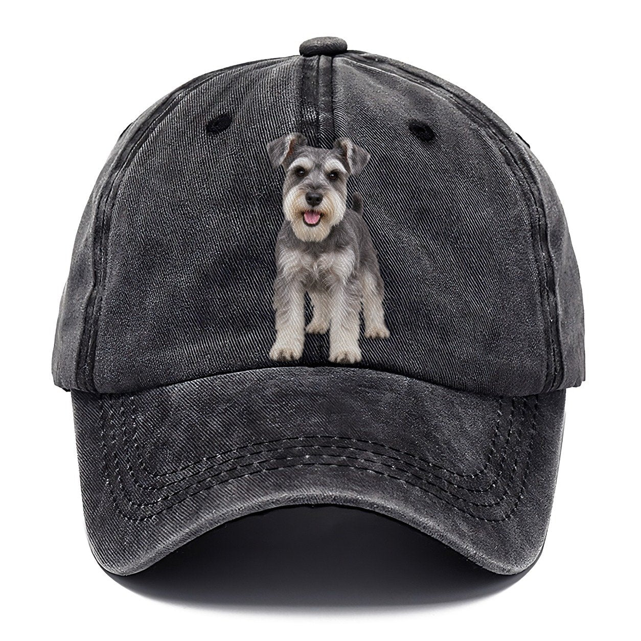 Miniature Schnauzer Standing Top Breeds Classic Cap – Graphite