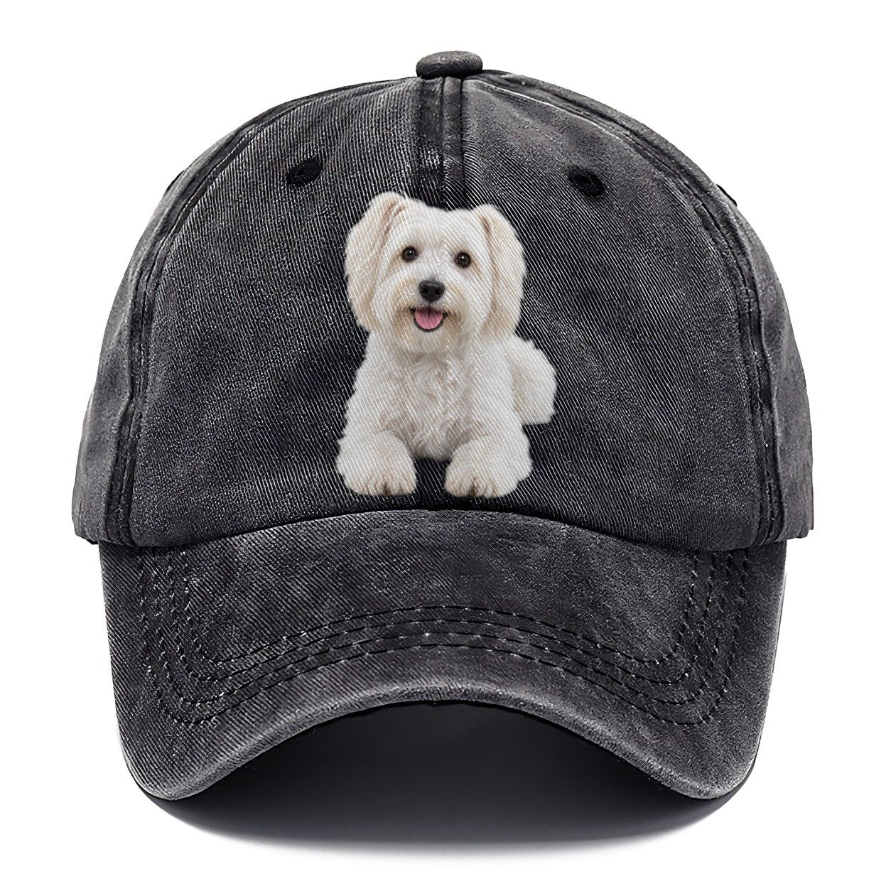 Havanese Sitting Top Breeds Classic Cap – Graphite