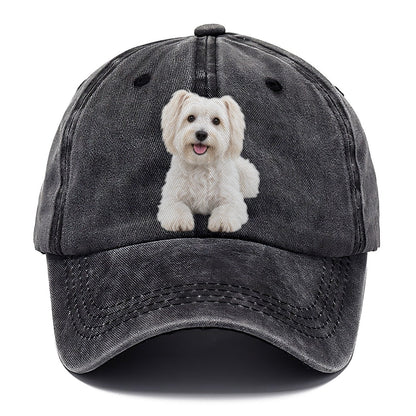Havanese Sitting Top Breeds Classic Cap – Graphite