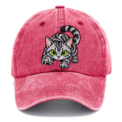 Silver Tabby Stalking Peeking Cats Classic Cap – Pomegranate Blush