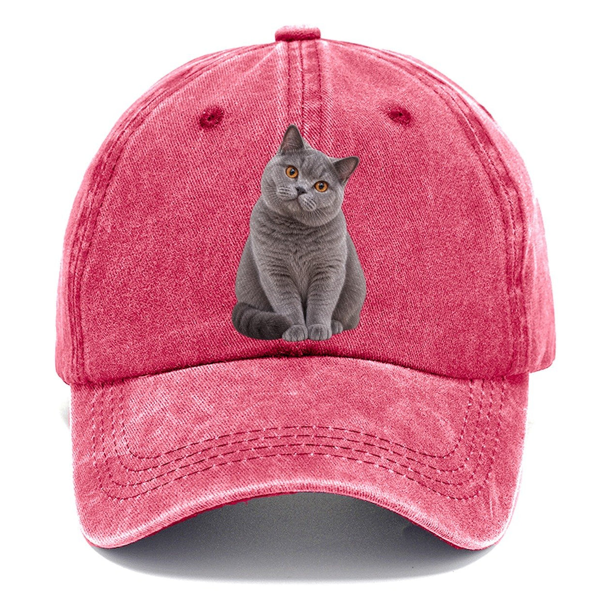 British Shorthair Seated Portrait Realistic Cat Portrait Classic Cap – Pomegranate Blush
