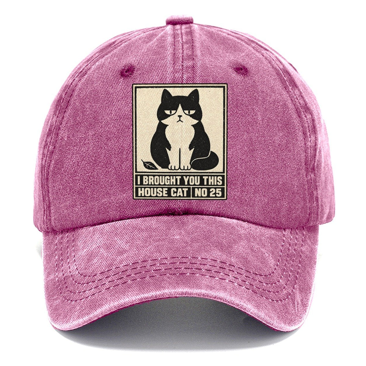 I Brought You This Neko Says No Classic Cap – Dusty Rose
