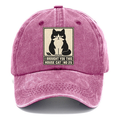 I Brought You This Neko Says No Classic Cap – Dusty Rose