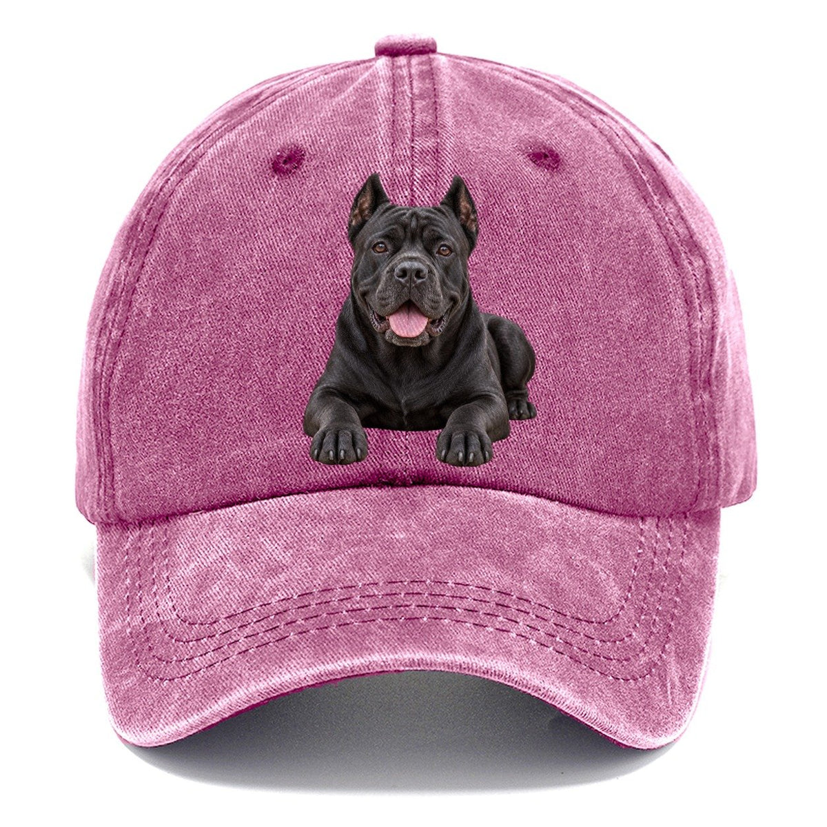 Cane Corso Lying Down Top Breeds Classic Cap – Dusty Rose