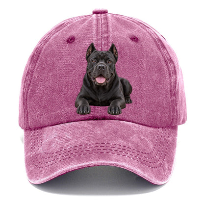 Cane Corso Lying Down Top Breeds Classic Cap – Dusty Rose
