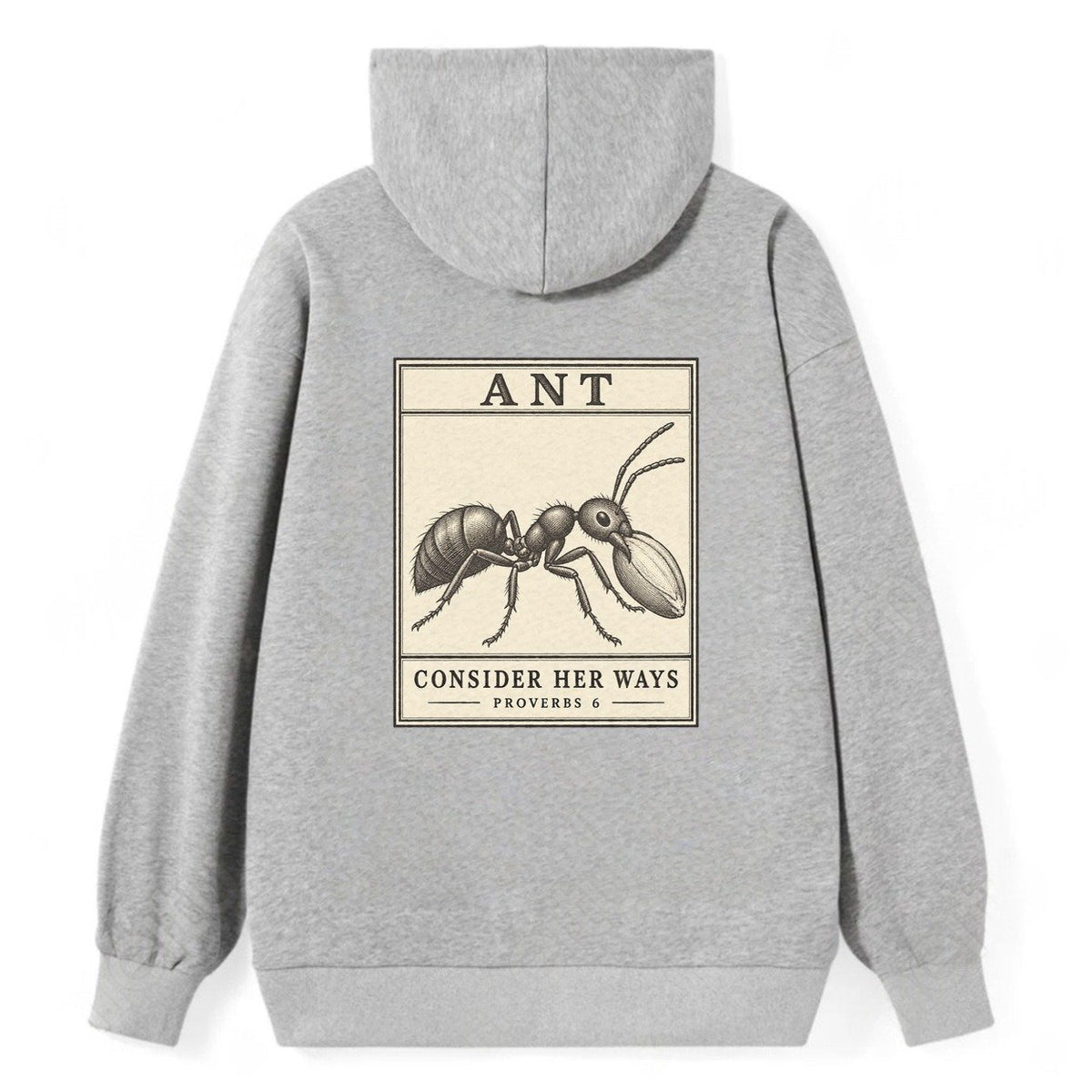 Ant Specimen Plate Creature Canticle Classic Pullover Hoodie – Grey