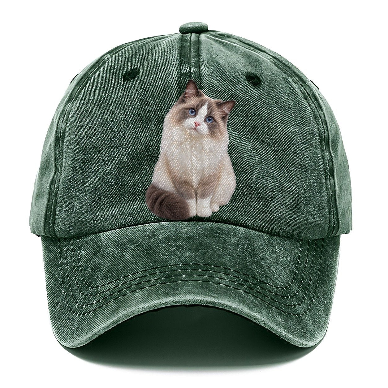 Ragdoll Seated Portrait Realistic Cat Portrait Classic Cap – Forest Mist