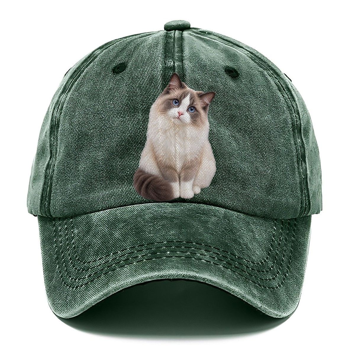 Ragdoll Seated Portrait Realistic Cat Portrait Classic Cap – Forest Mist