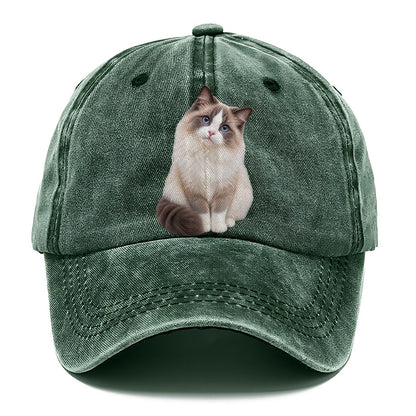 Ragdoll Seated Portrait Realistic Cat Portrait Classic Cap – Forest Mist