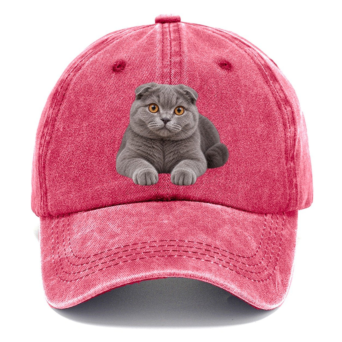 Scottish Fold Reclining Paws Forward Realistic Cat Portrait Classic Cap – Pomegranate Blush