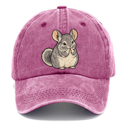 Chinchilla Whisker Wash Small Pet Logos Classic Cap – Dusty Rose