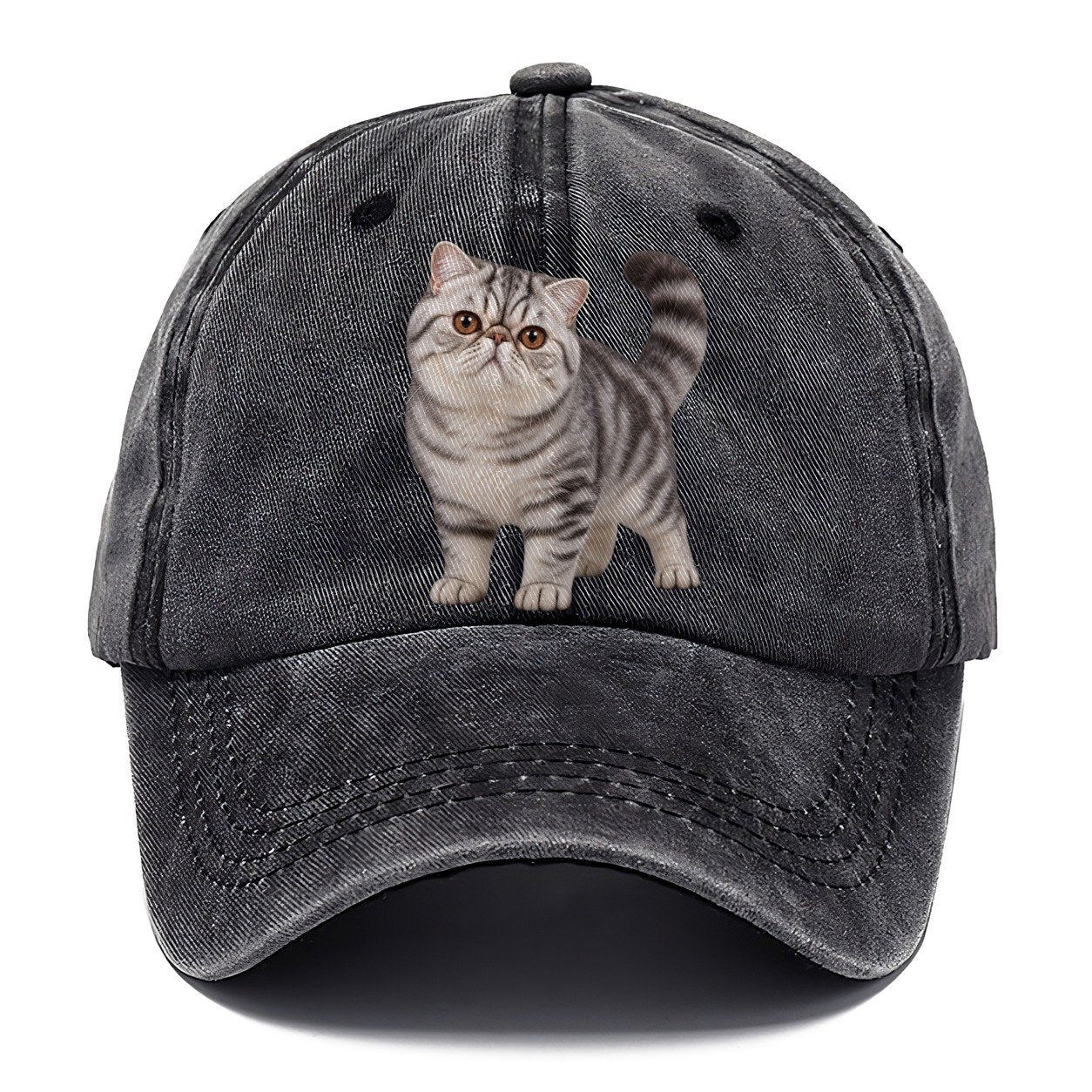 Exotic Shorthair Standing Three Quarter Realistic Cat Portrait Classic Cap – Graphite