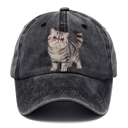 Exotic Shorthair Standing Three Quarter Realistic Cat Portrait Classic Cap – Graphite