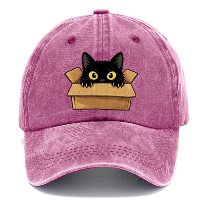 Black Cat Cardboard Box Fan Favorites Classic Cap – Dusty Rose